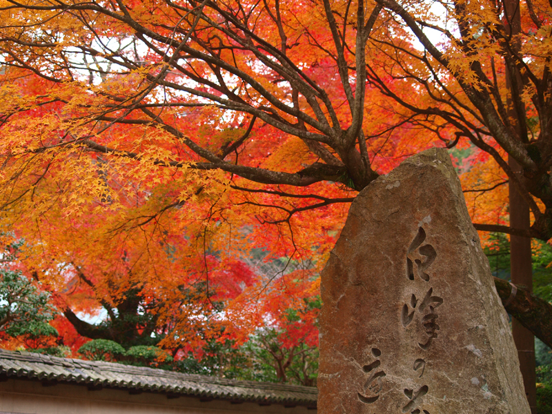 白峯寺の秋