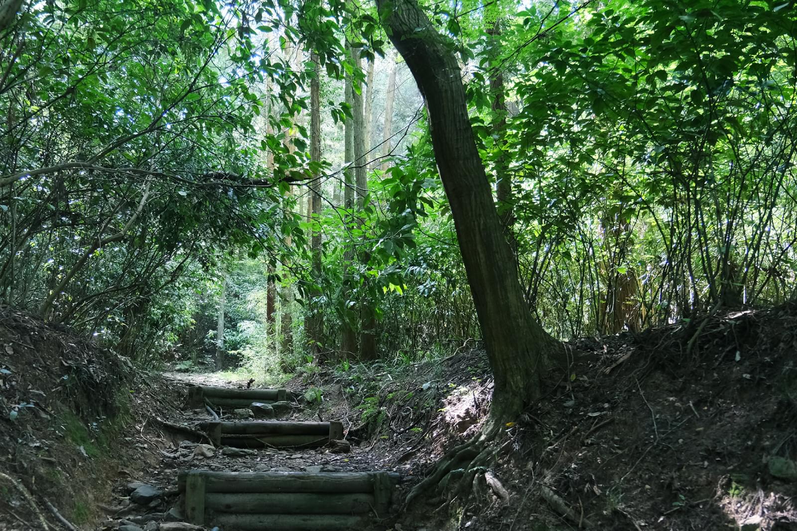 根香寺道（史跡）