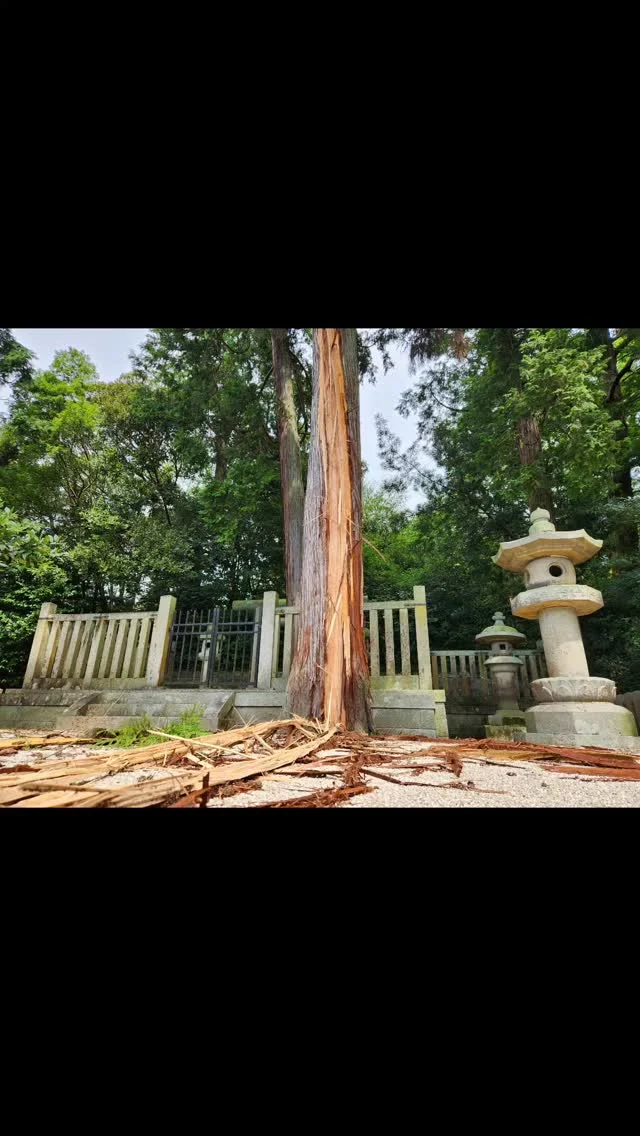 落雷？形式の告知の指示かも知れないので
改めてお知らせいたします。

9月21日9時から白峯陵にて
御正辰祭が行われます。

宮内庁の定める崇徳天皇の縁日で、
年に一度行われます。

今年も宮内庁職員の方々が
参加される予定です。

お参りは自由なのでお時間の会う方は
どうぞご覧ください。

#白峯寺 #白峰寺 
#白峯大権現 #天狗 #日本八天狗 
#崇徳天皇 #西行
#四国八十八ヶ所 #四国霊場 #お遍路
#坂出市 #香川県 #五色台
#寺 #神社 #神社仏閣 
#落雷 #雷 #御陵 #雷雨 
#shiromineji #sakaide #kagawa 
#trip #temple #shrine #ohenro