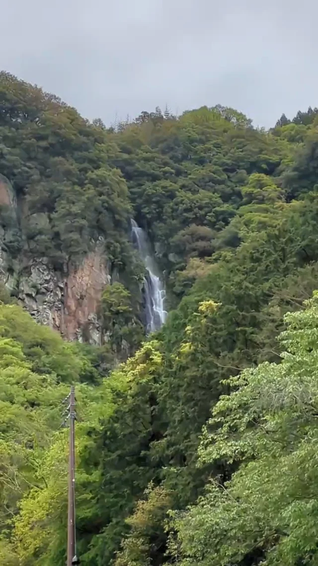 4月24日早朝の稚児ヶ滝の様子

昨日は雨が一日降り続いたので、
水量も多めです。

4月26日(日)14時から
新仏供養、先祖供養、水子供養などを
行う恒例の永代土砂加持法要を行います。

どなたでも参列やご供養のお申込みは
可能ですので、お時間の合う方は
お参りください。

#白峯寺 #白峰寺
#白峯大権現 #天狗 #日本八天狗
#崇徳天皇 #西行
#四国八十八ヶ所 #四国霊場 #お遍路
#坂出市 #香川県 #五色台
#寺 #神社 #神社仏閣
#写真好きな人と繋がりたい
#ファインダー越しの私の世界
#ことりっぷ
#滝 #雨 #池 #waterfall
#shiromineji #sakaide #kagawa
#trip #temple #shrine #ohenro