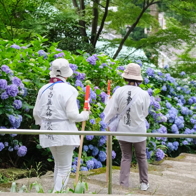 年に1度の観音さまのご縁日である
千日会法要を7月12日(日)に本堂にて
10時から行います。

この日はご本尊さまのご開帳を行い、
大師堂の正面扉も開放しております。

この日限りのご本尊カード守りも
希望者に授与いたします。
また読み上げご祈願、ご供養をお申込みの方にも
授与いたします。
※法要後は護摩堂内にて授与いたします。

ご希望の方はメール、電話、
ファックス等でお申し込みください。

参道や境内のアジサイが見頃を
迎えつつあり、稚児ヶ滝も最近の
雨で流れがハッキリと見える頃なので、
法要とあわせてお楽しみください。

※写真は昨年までのものです。

#白峯寺 #白峰寺
#白峯大権現 #天狗 #日本八天狗
#崇徳天皇 #西行
#四国八十八ヶ所 #四国霊場 #お遍路
#坂出市 #香川県 #五色台
#寺 #神社 #神社仏閣
#写真好きな人と繋がりたい
#ファインダー越しの私の世界
#ことりっぷ
#アジサイ #紫陽花 #あじさい 
#千日会 #千手観音
#hydrangea #sakaide #kagawa
#temple #shrine #trip