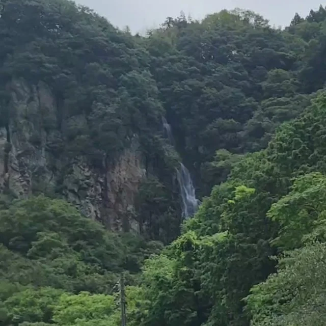 年に1度の観音さまのご縁日である
千日会法要を7月12日(日)に本堂にて
10時から行います。

この日はご本尊さまのご開帳を行い、
大師堂の正面扉も開放しております。

この日限りのご本尊カード守りも
希望者に授与いたします。
また読み上げご祈願、ご供養を
お申込みの方にも授与いたします。
※法要後は護摩堂内にて授与いたします。

ご希望の方はメール、電話、
ファックス等でお申し込みください。

参道や境内のアジサイが見頃を
迎えており、稚児ヶ滝も最近の
雨で流れがハッキリと見えますので、
法要とあわせて、ぜひお楽しみください。

※写真は昨日までのものです。

#白峯寺 #白峰寺
#白峯大権現 #天狗 #日本八天狗
#崇徳天皇 #西行
#四国八十八ヶ所 #四国霊場 #お遍路
#坂出市 #香川県 #五色台
#寺 #神社 #神社仏閣
#写真好きな人と繋がりたい
#ファインダー越しの私の世界
#ことりっぷ
#アジサイ #紫陽花 #あじさい
#千日会 #千手観音
#hydrangea #sakaide #kagawa
#temple #shrine #trip